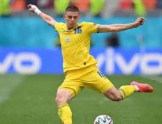 世界杯规则-米科连科米科连科披国旗